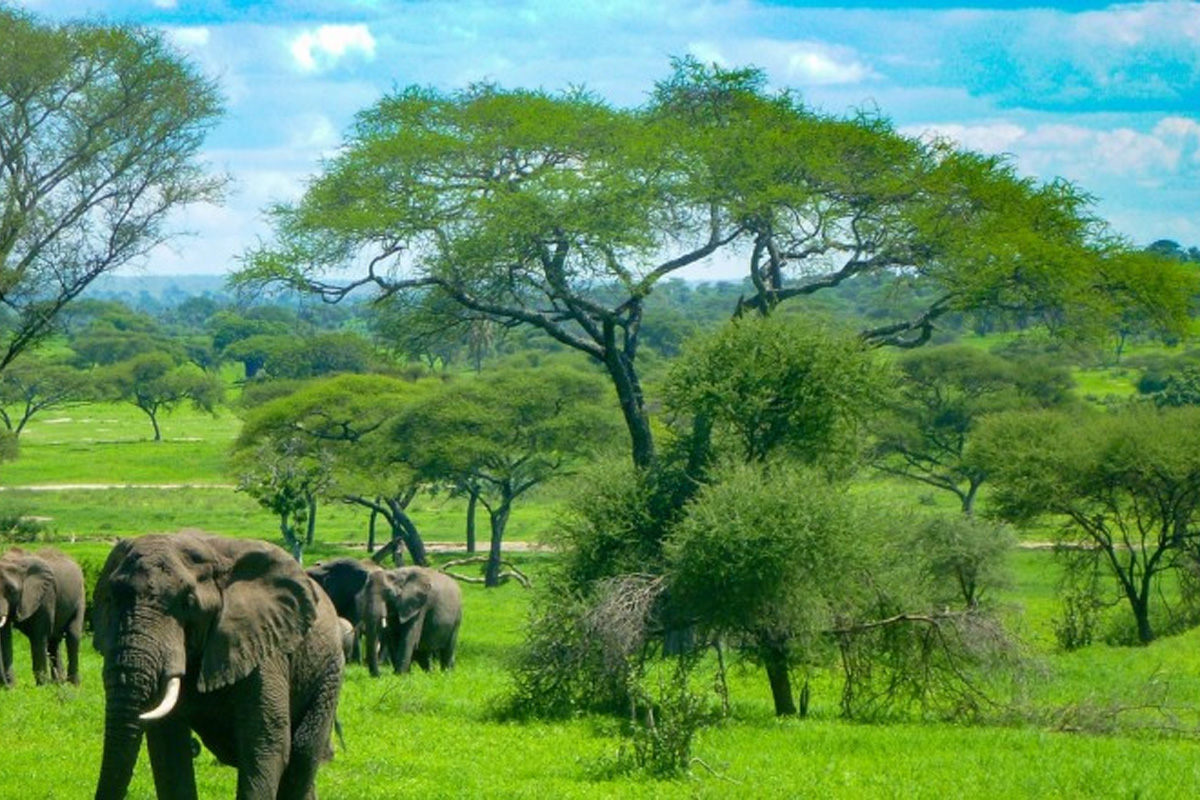 Tanzania during March